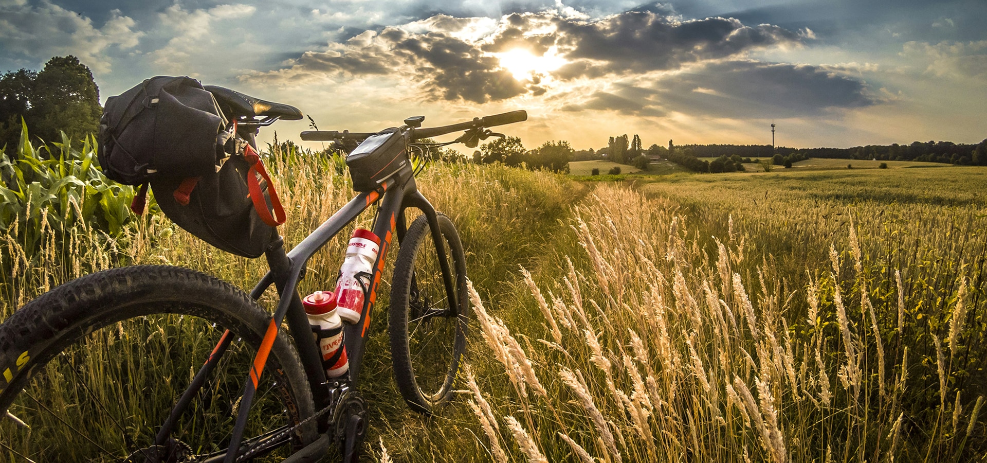 bg-velo900